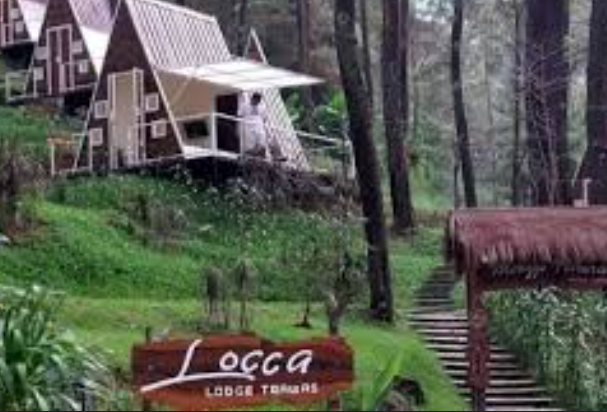 Review Penginapan Unik di tengah hutan pinus yang asri