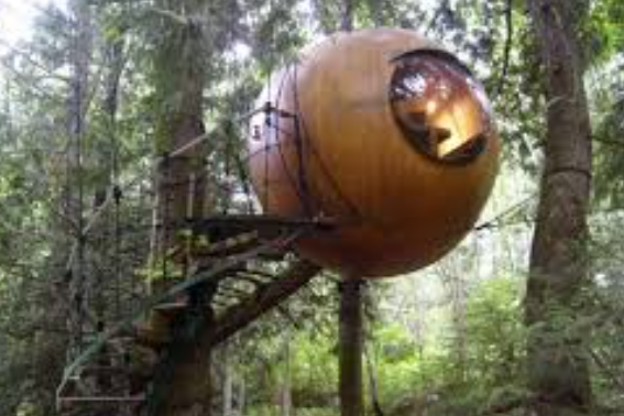 Review Free Spirit Spheres Penginapan Bola Kayu Unik