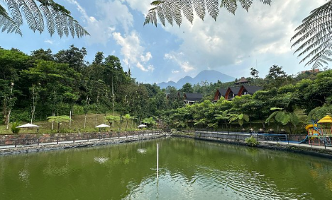 Review Hotel Alam Dengan Suasana Tenang Menyegarkan